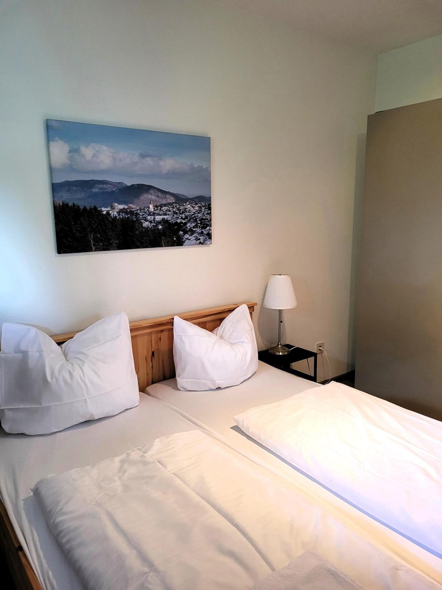 Winterberg Appartement 21097 Εξωτερικό φωτογραφία