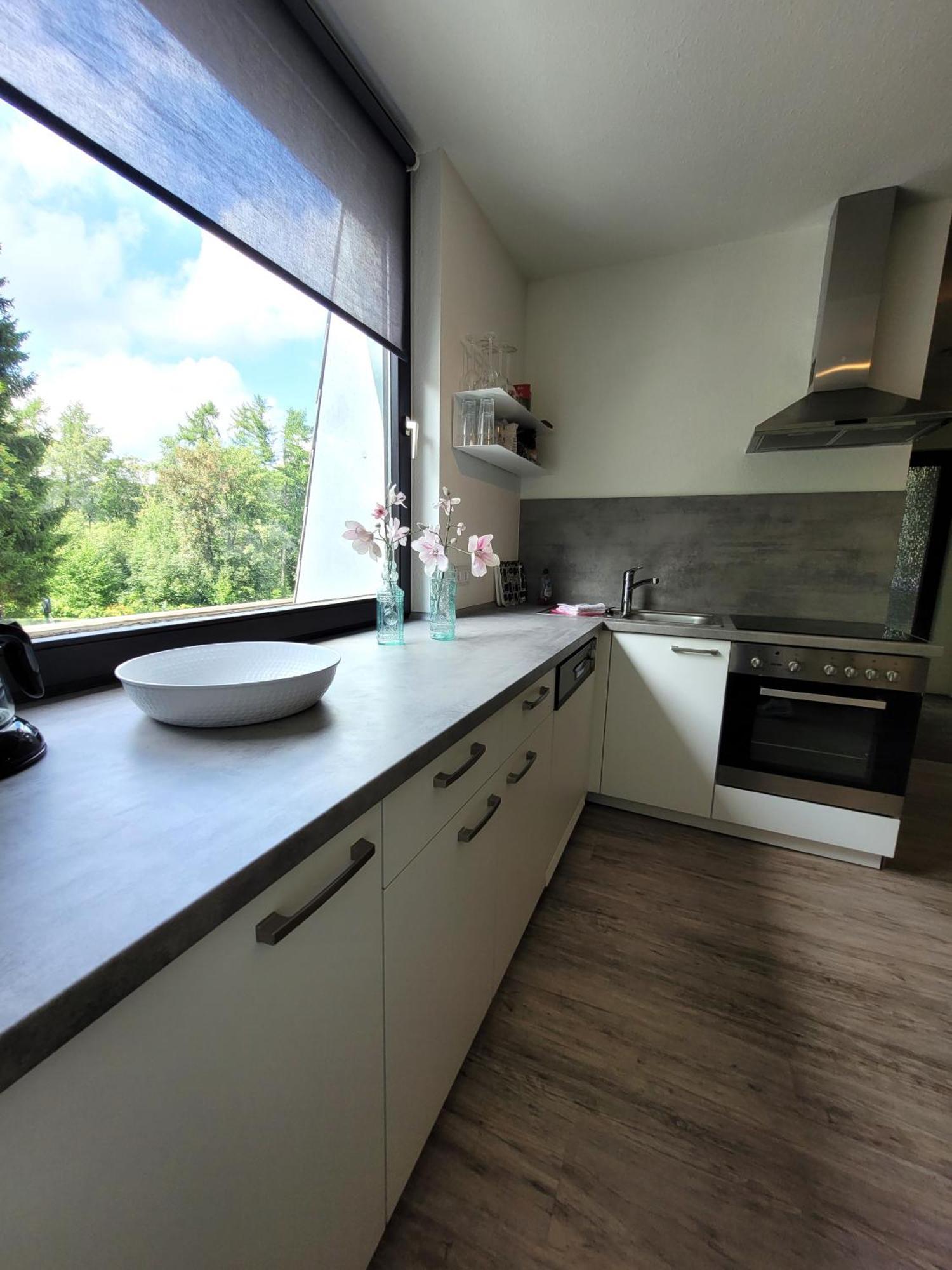 Winterberg Appartement 21097 Εξωτερικό φωτογραφία